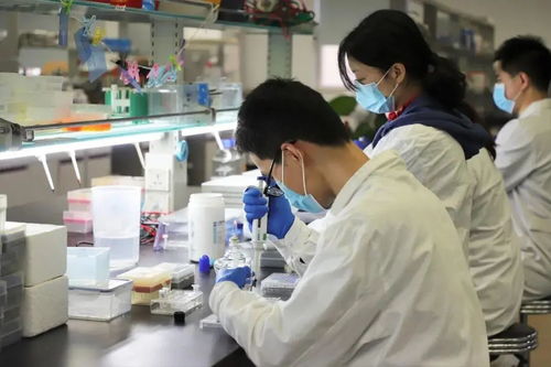 重庆医药健康双轨并进 218个药品平均降价53%与三甲医院扩容至39家