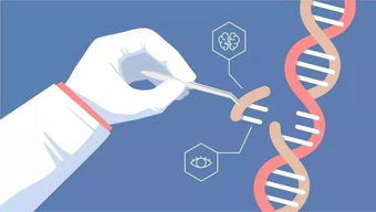 132a至臻之选 生物医学标杆良厂全盘转让实录