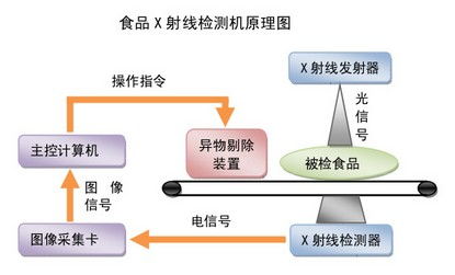 食品生物技术的发展趋势与生物研究的前沿探索