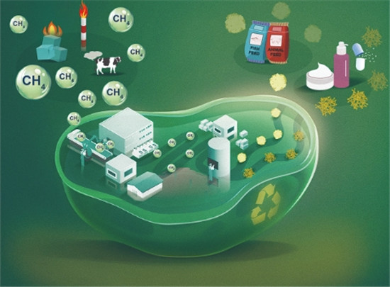西安交通大学费强团队在生物利用甲烷创制大分子产品研究中取得重要突破