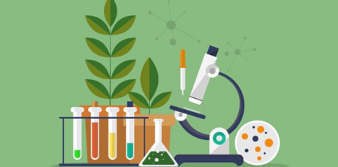生物科学SCI期刊概览与生物研究领域介绍