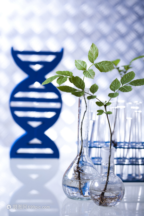 现代生物技术实验室 融合化学、生物有机与软件的创新研究