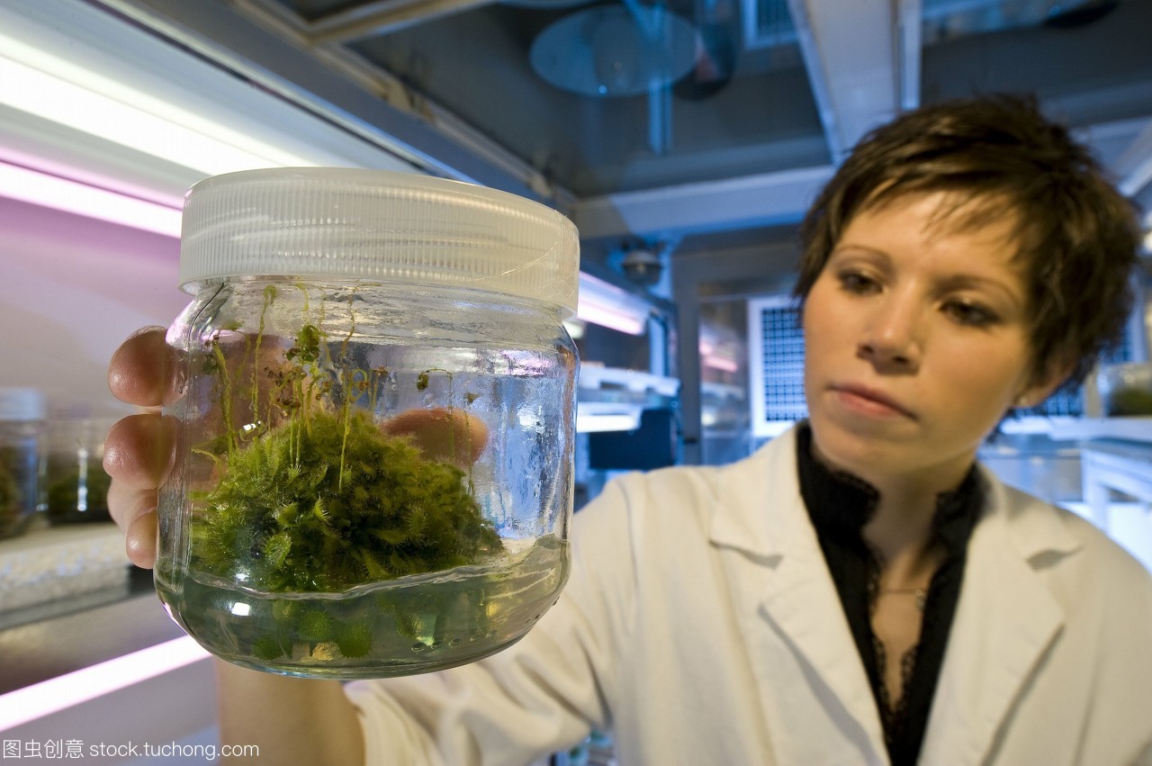 植物遗传学研究 食肉植物消化液在人类重组蛋白生产中的应用